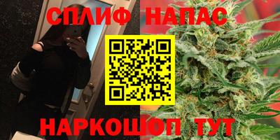 МДПВ Аша