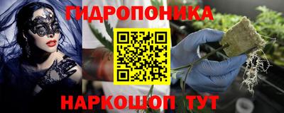 МДПВ Аша