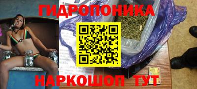 индика Ачхой-Мартан
